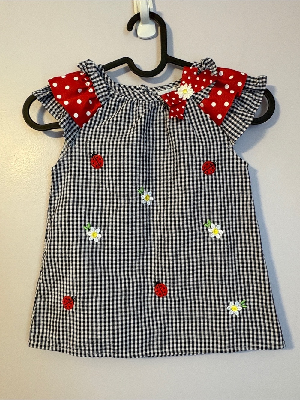 Rare Editions Gingham Embroidered Daisy Floral Ladybug Dress size 4T